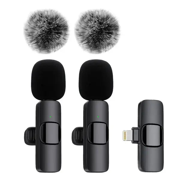Wireless Portable Microphone