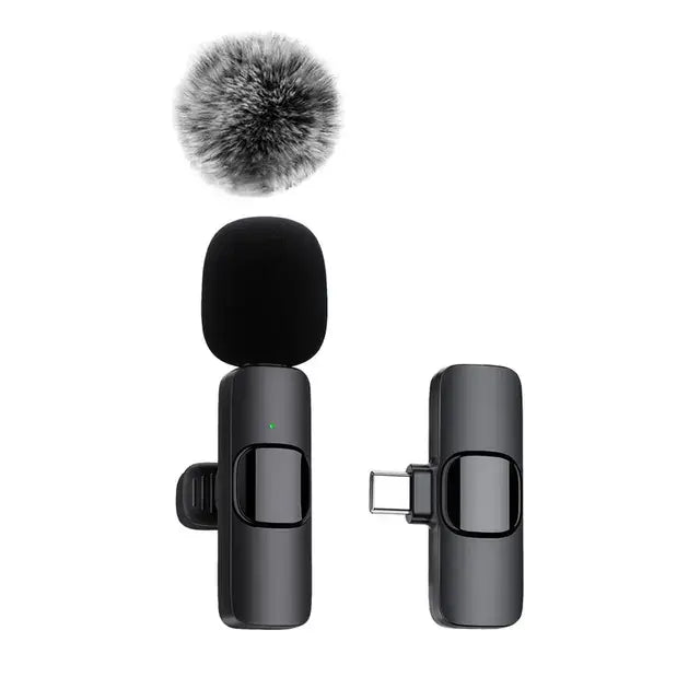 Wireless Portable Microphone