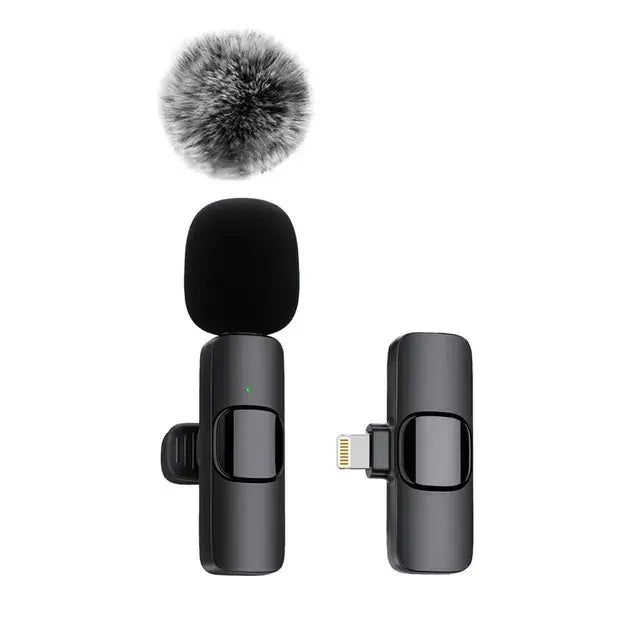 Wireless Portable Microphone