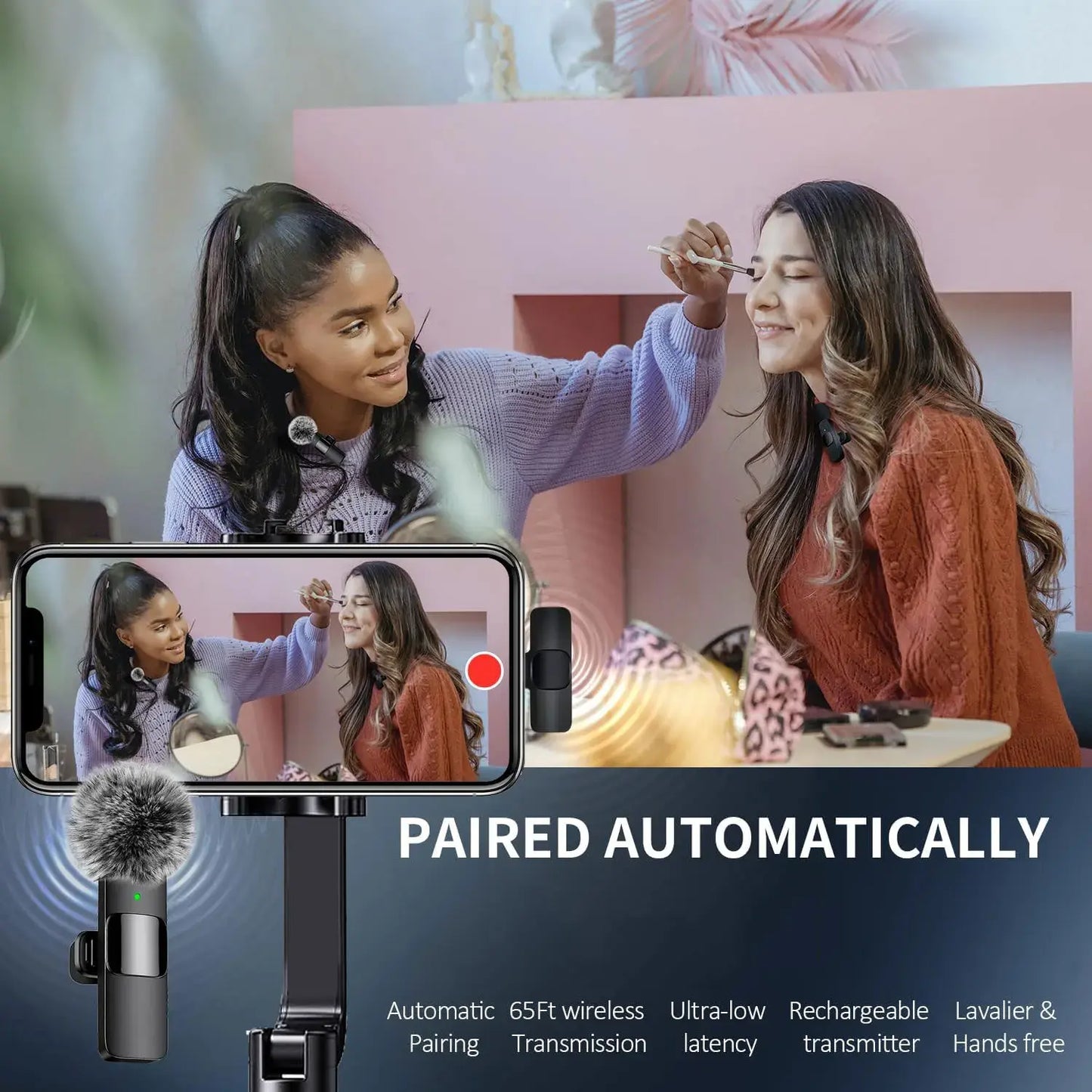 Wireless Portable Microphone