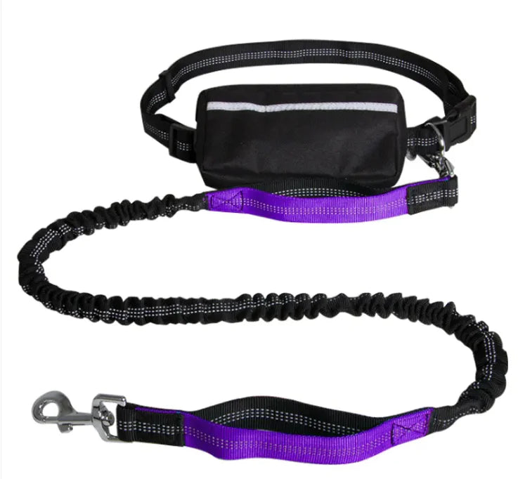 Hands Free Dog Leash