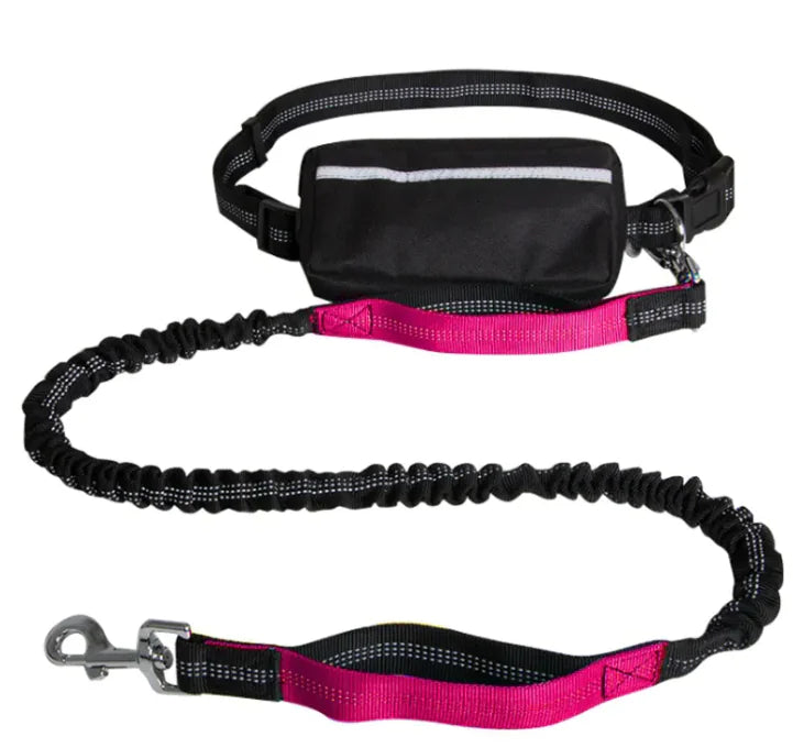 Hands Free Dog Leash