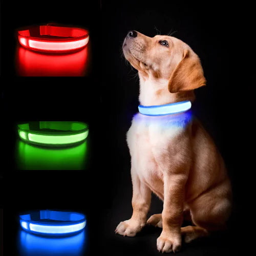 Luminous AirTag Dog Collar