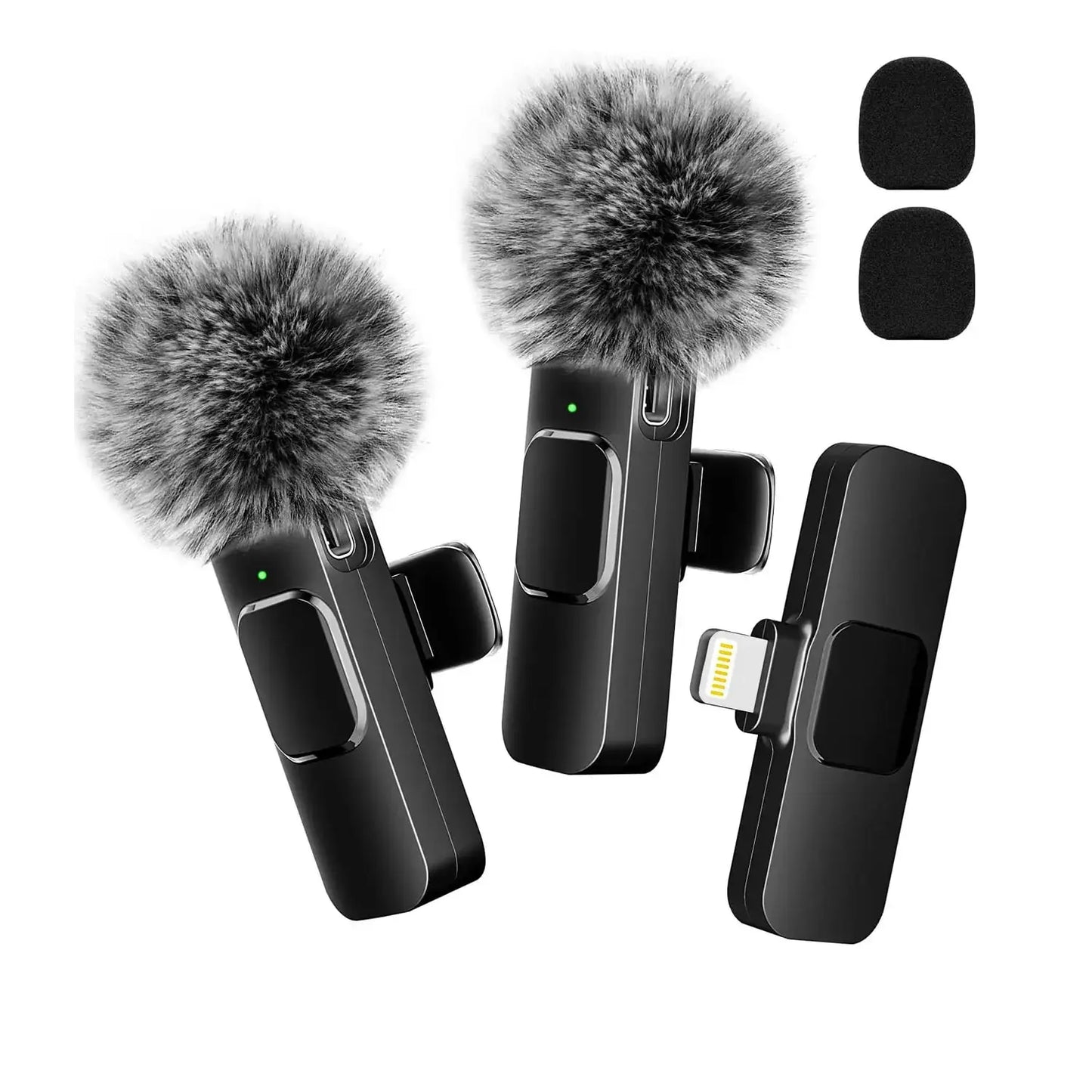Wireless Portable Microphone