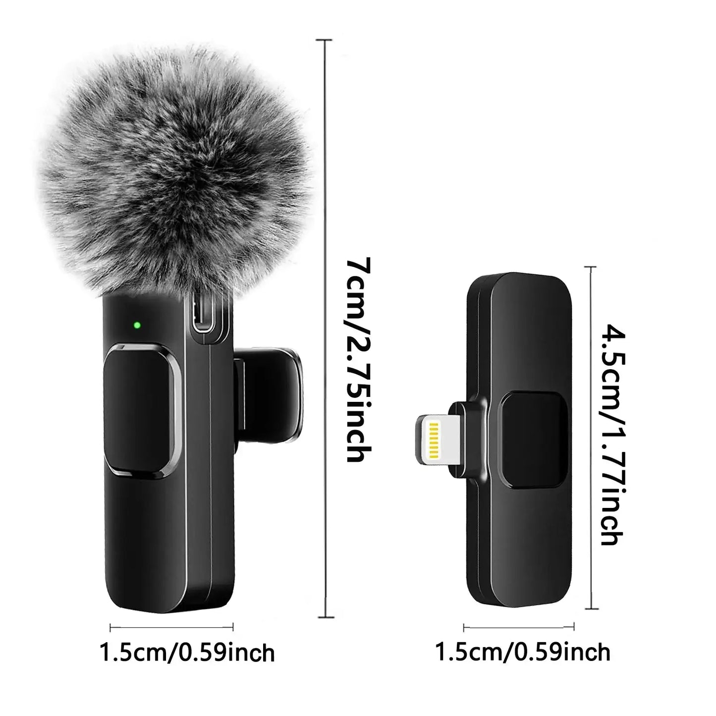 Wireless Portable Microphone