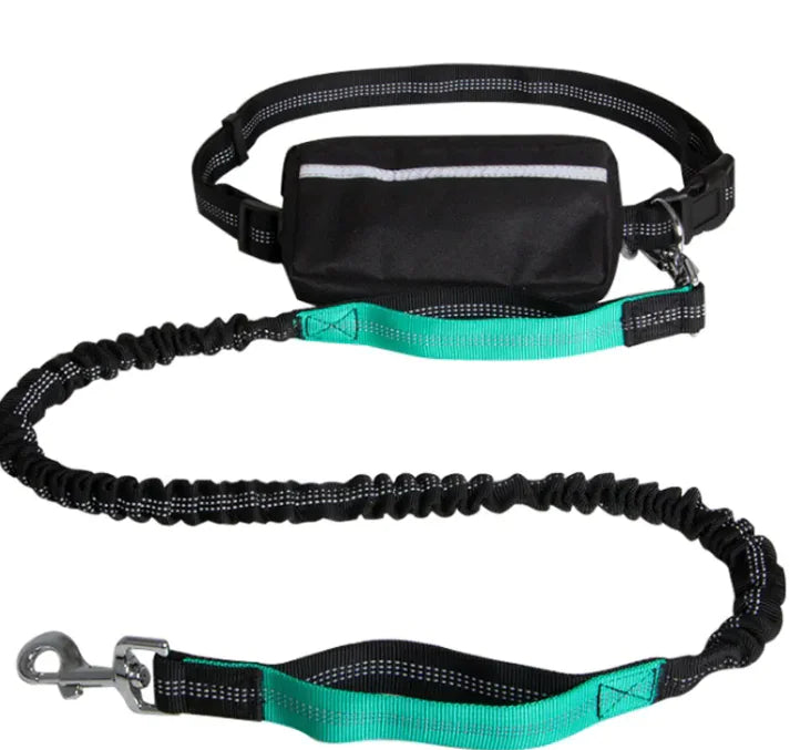 Hands Free Dog Leash