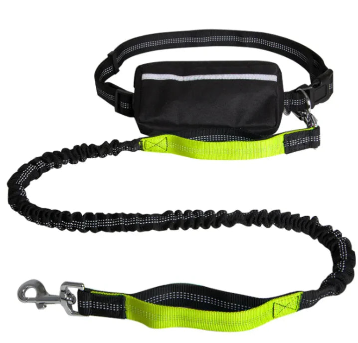 Hands Free Dog Leash