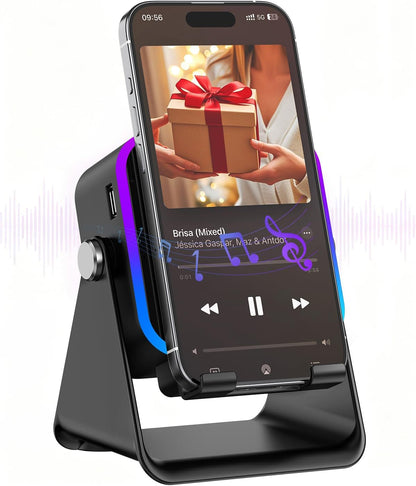 Wireless Induction Speaker