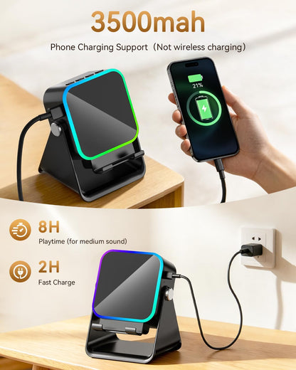 Wireless Induction Speaker