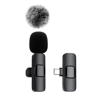 Wireless Portable Microphone