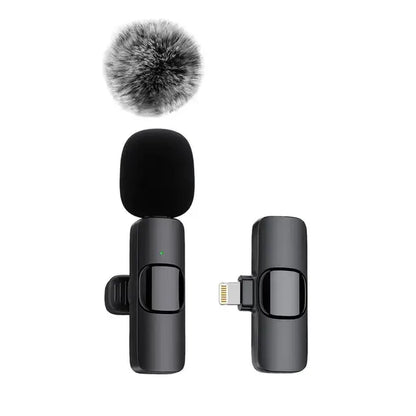Wireless Portable Microphone