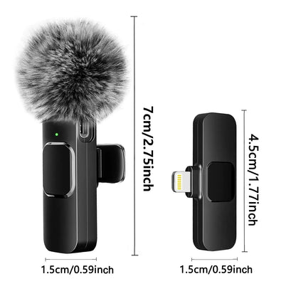 Wireless Portable Microphone
