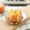 The Fruit Vegetable Slicer