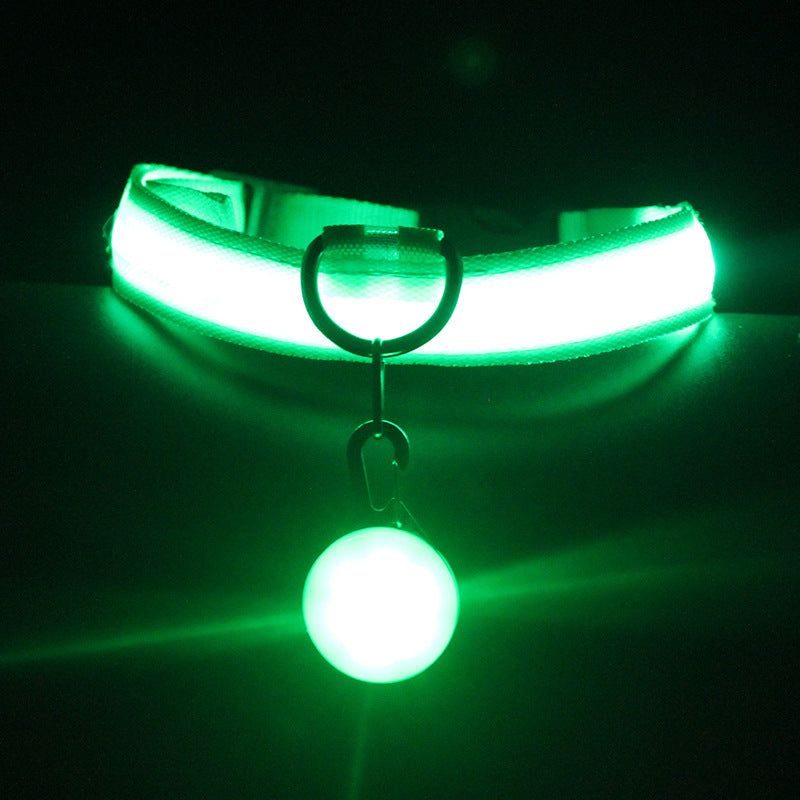 Glow Dog Collar