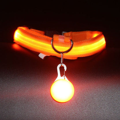 Glow Dog Collar