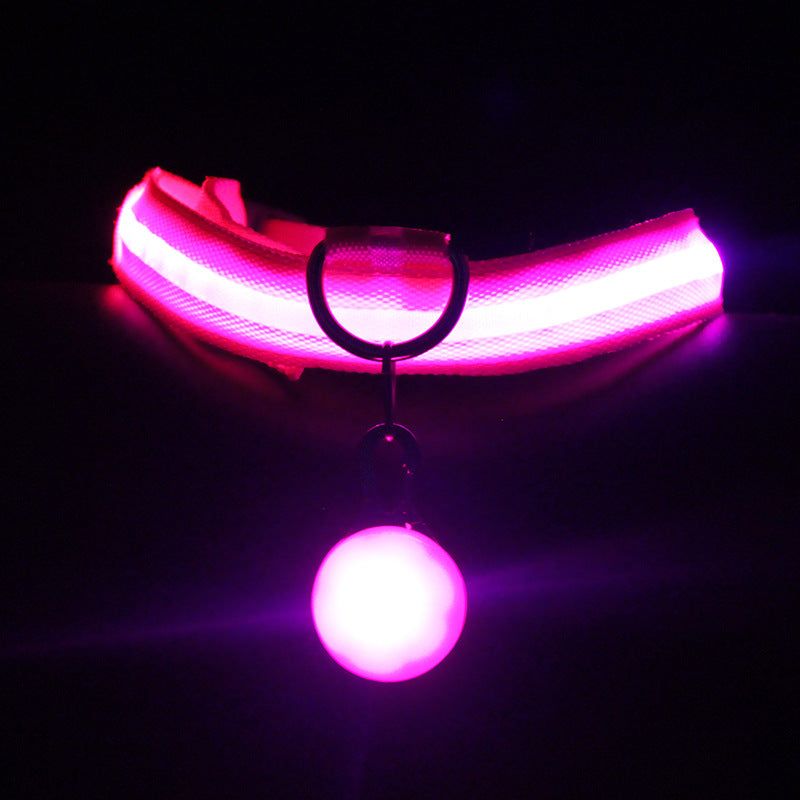 Glow Dog Collar