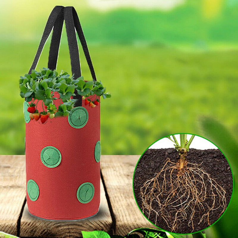 Hanging Plant Bag