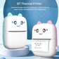 Thermal Mini Printer