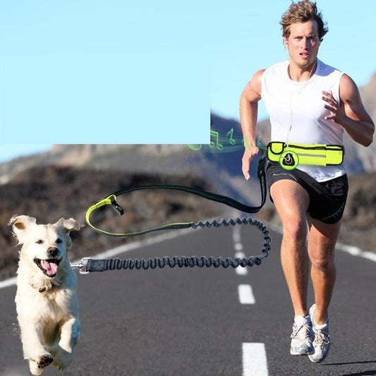 Hands Free Dog Leash