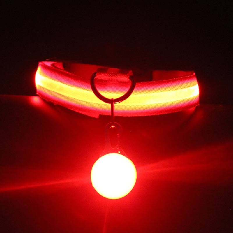 Glow Dog Collar