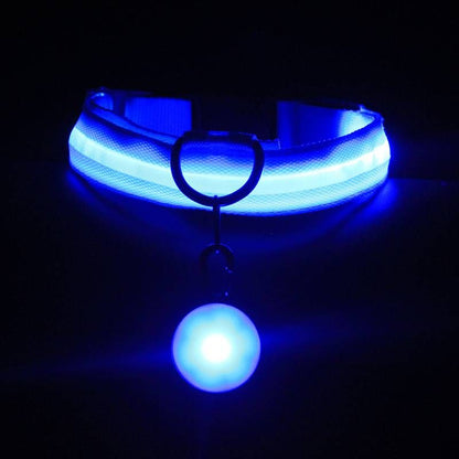 Glow Dog Collar